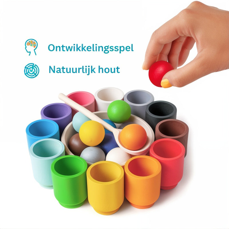 ColorNest- Waldorf Sorteer Speelgoed