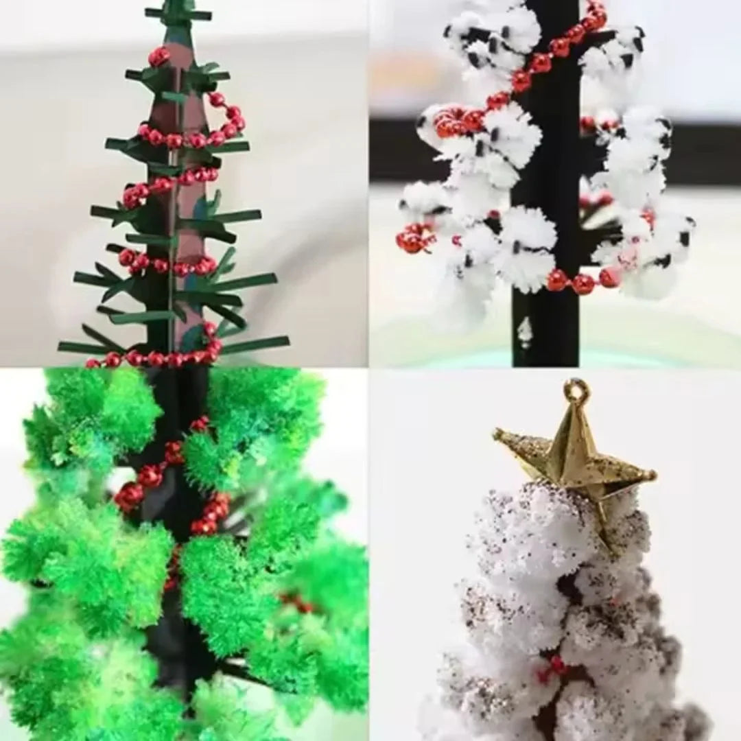 SproutFest™ – Kweek je Eigen Kerstboom voor Kinderen vanaf 6 Jaar