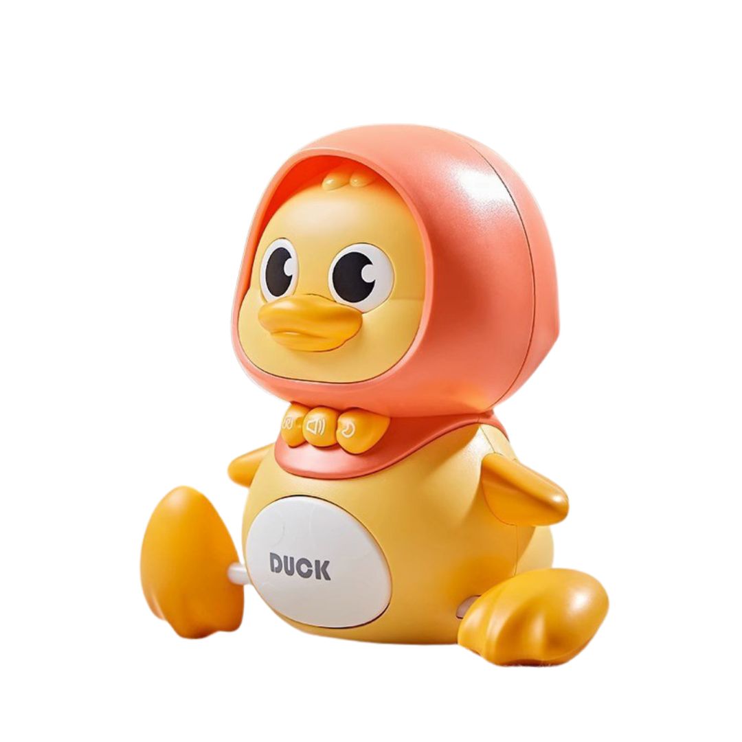 WobbleDucks- Wiebelende eendenfamilie voor plezier en leren