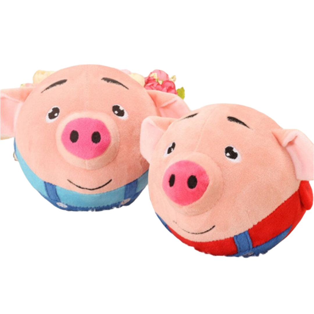 OinkOrbit - Springend en Nadoend Varken