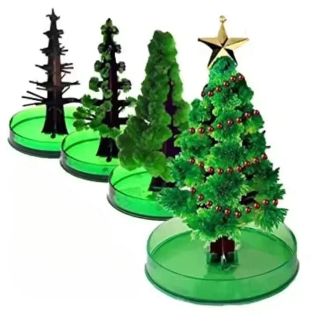 SproutFest™ – Kweek je Eigen Kerstboom voor Kinderen vanaf 6 Jaar
