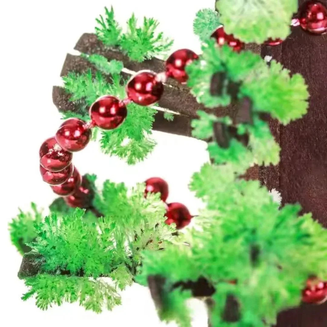 SproutFest™ – Kweek je Eigen Kerstboom voor Kinderen vanaf 6 Jaar