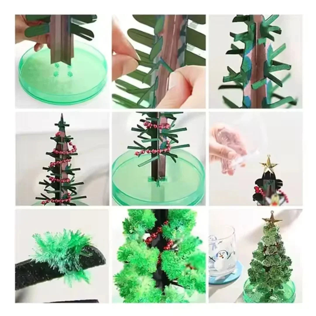 SproutFest™ – Kweek je Eigen Kerstboom voor Kinderen vanaf 6 Jaar
