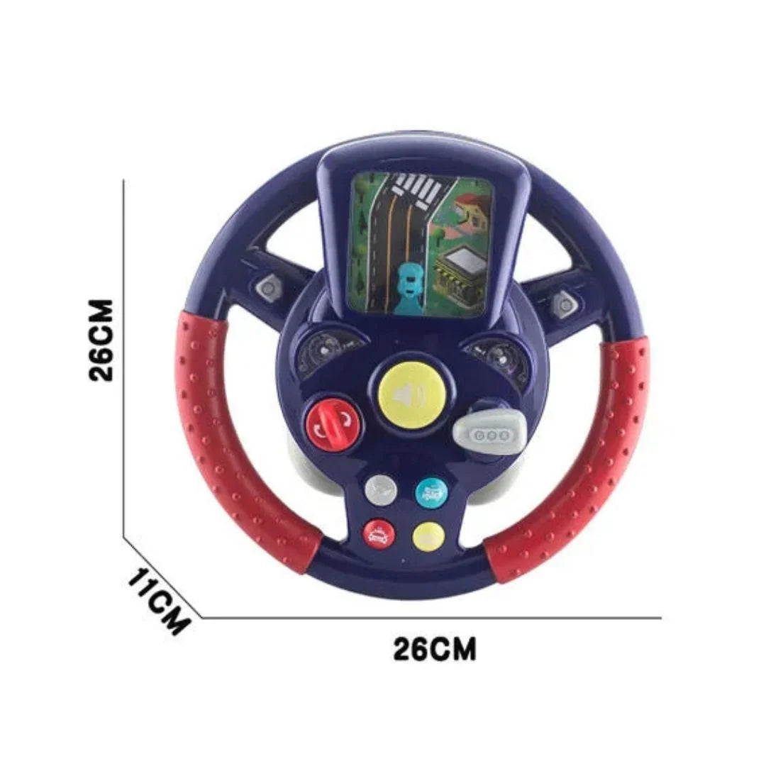 DriveBuddy size