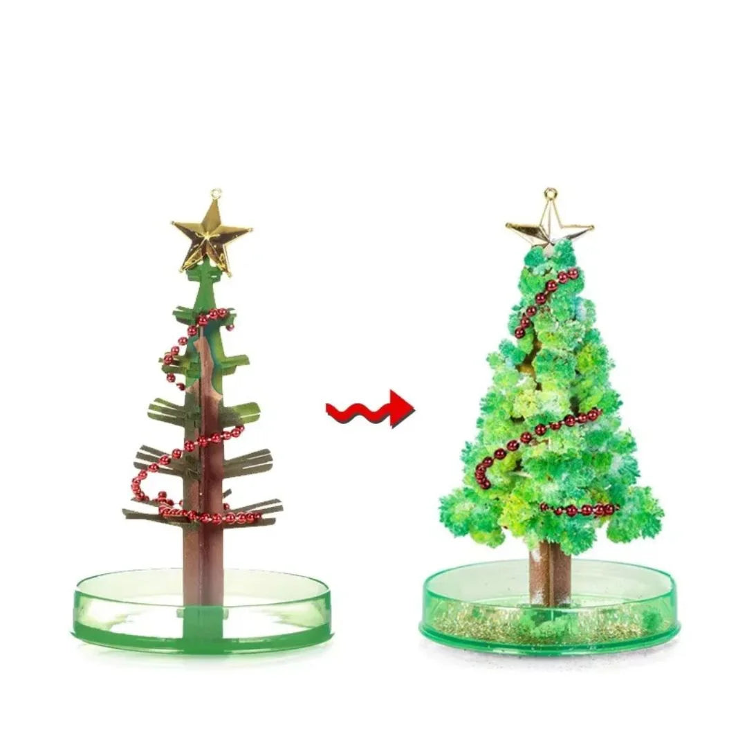 SproutFest™ – Kweek je Eigen Kerstboom voor Kinderen vanaf 6 Jaar