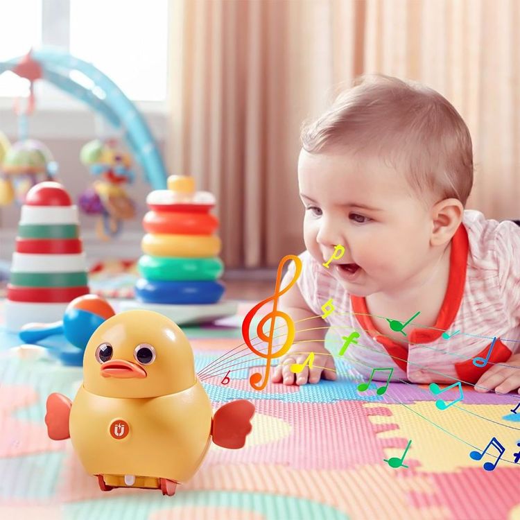 WobbleDucks- Wiebelende eendenfamilie voor plezier en leren