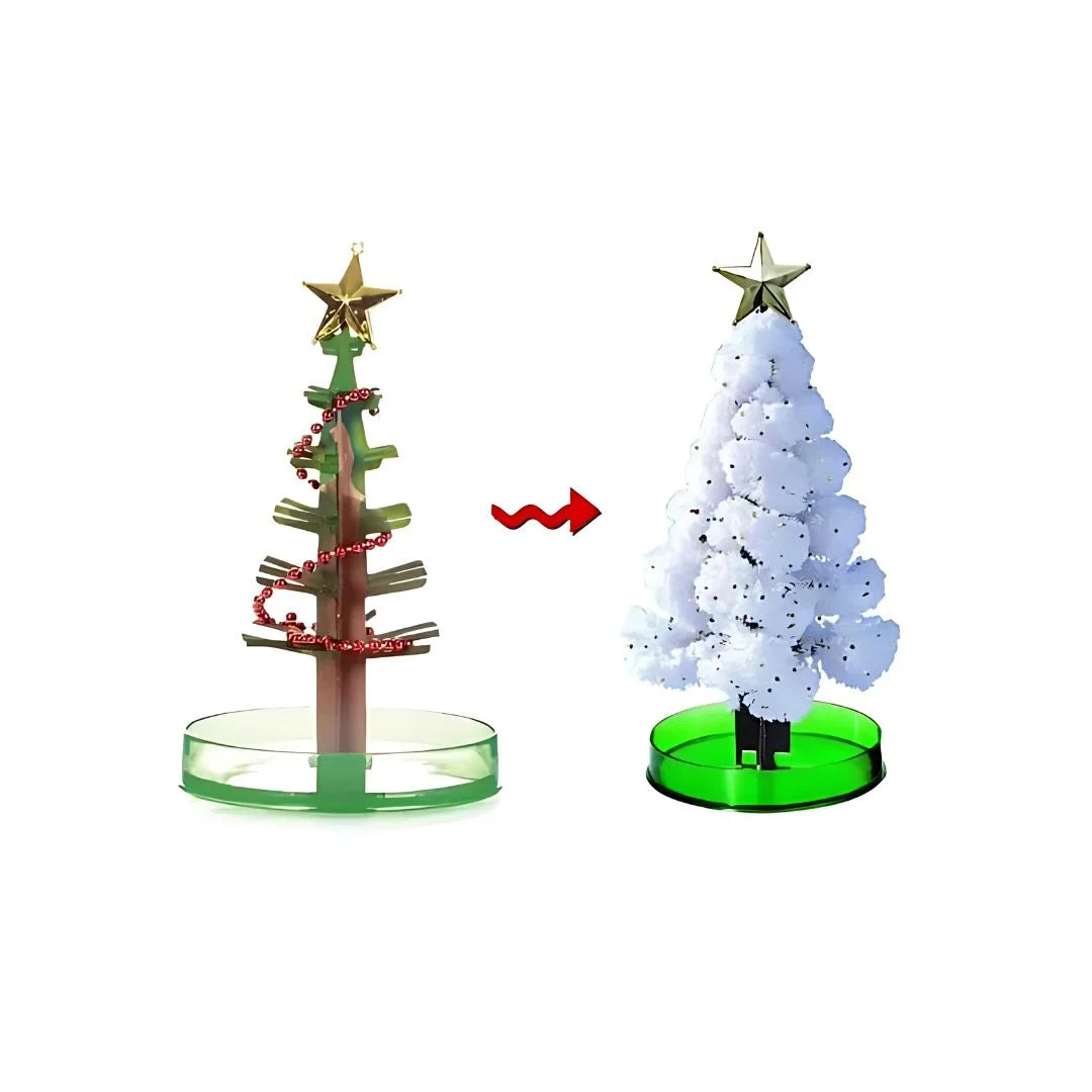 SproutFest™ – Kweek je Eigen Kerstboom voor Kinderen vanaf 6 Jaar
