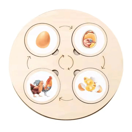 NatureNest™ – Houten Puzzel Voor Kinderen Vanaf 3 Jaar – Verbetert Cognitieve Vaardigheden