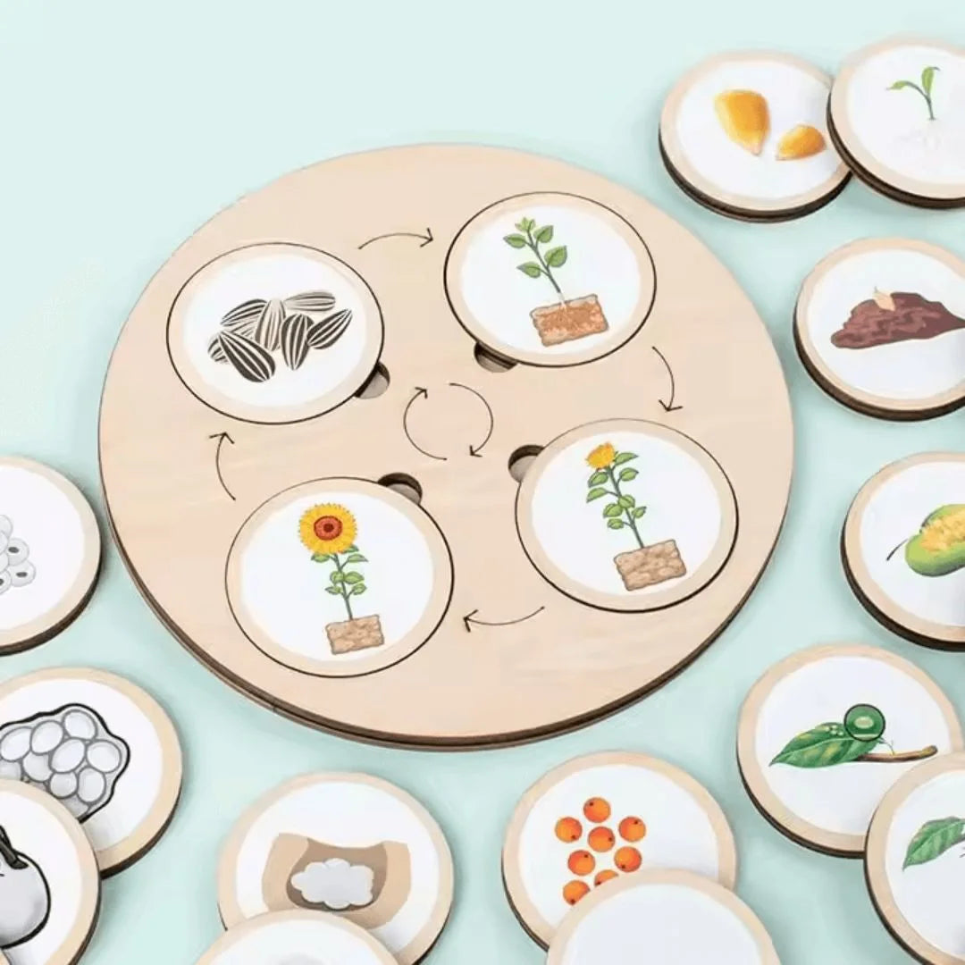 NatureNest™ – Houten Puzzel Voor Kinderen Vanaf 3 Jaar – Verbetert Cognitieve Vaardigheden