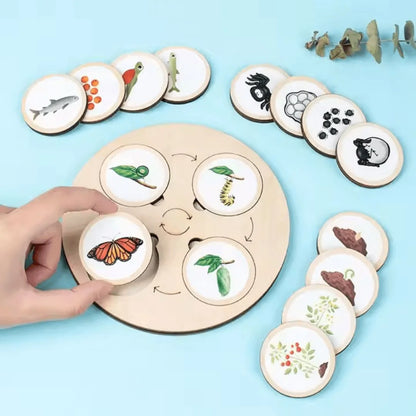 NatureNest™ – Houten Puzzel Voor Kinderen Vanaf 3 Jaar – Verbetert Cognitieve Vaardigheden