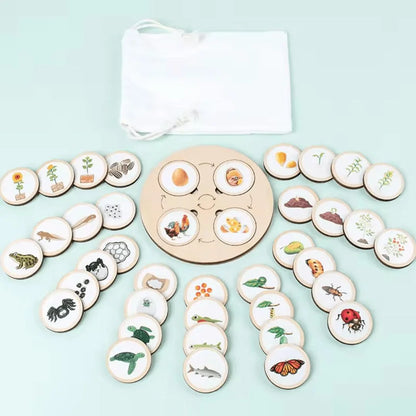 NatureNest™ – Houten Puzzel Voor Kinderen Vanaf 3 Jaar – Verbetert Cognitieve Vaardigheden