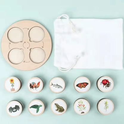 NatureNest™ – Houten Puzzel Voor Kinderen Vanaf 3 Jaar – Verbetert Cognitieve Vaardigheden