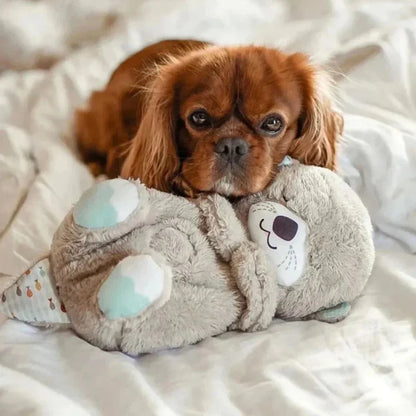 BestBuddy 