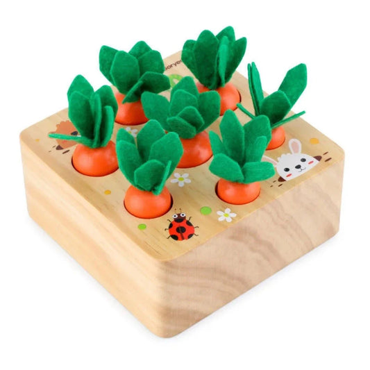 CarrotNest 