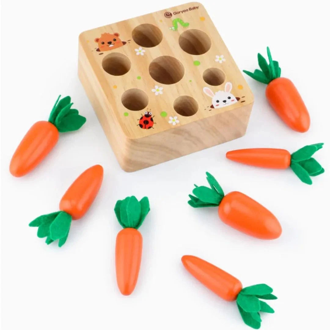 CarrotNest 2