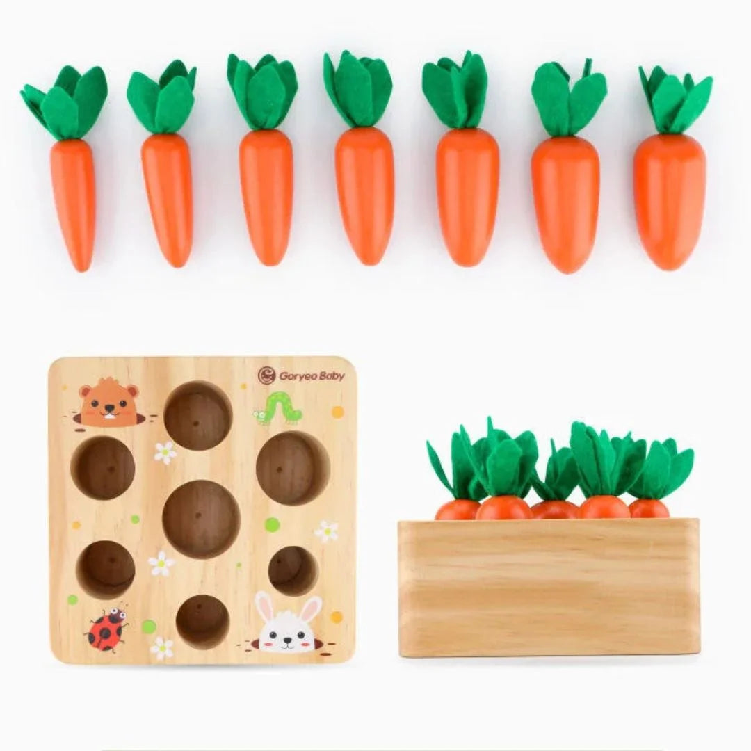 CarrotNest 4