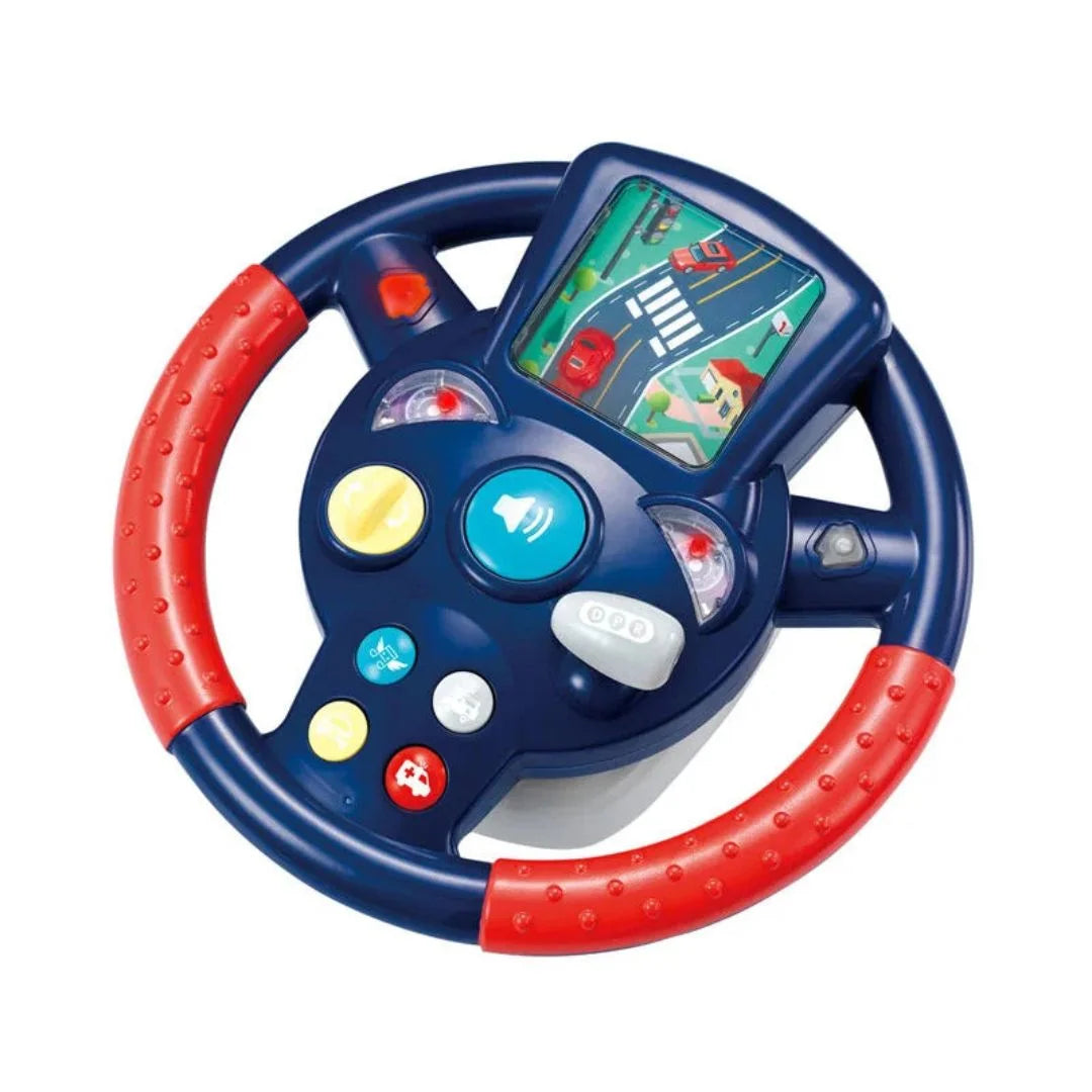 DriveBuddy blue