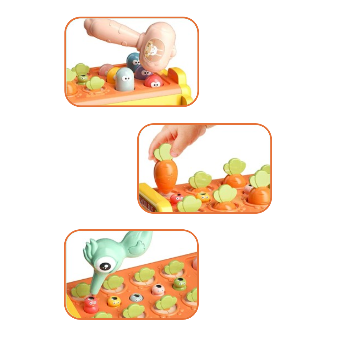 PackPlay – Leuke Speelgoed Organizer | Opruimen & Spelend Leren voor Kinderen vanaf 3 Jaar