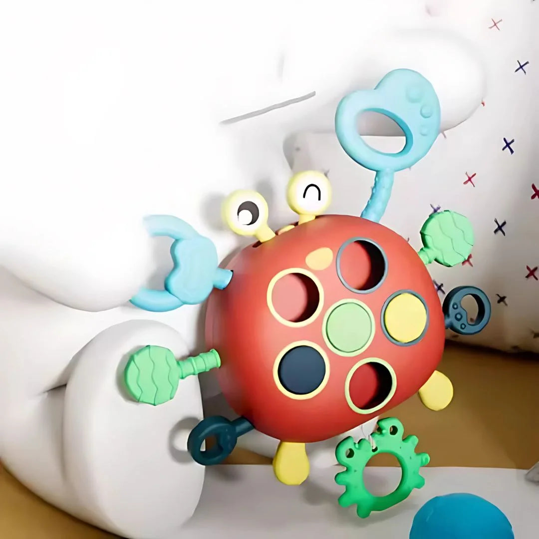 crabbuddy4